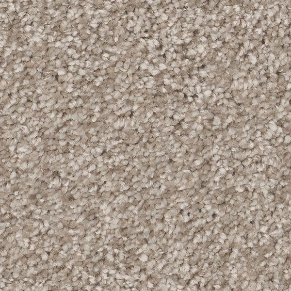Close-up of You Got This III Pet Friendly Carpet in Subtle. This beige, loop-pile carpet features tightly packed yarns for durability and a soft feel underfoot. Its textured, woven look and subtle color variations create modern appeal.