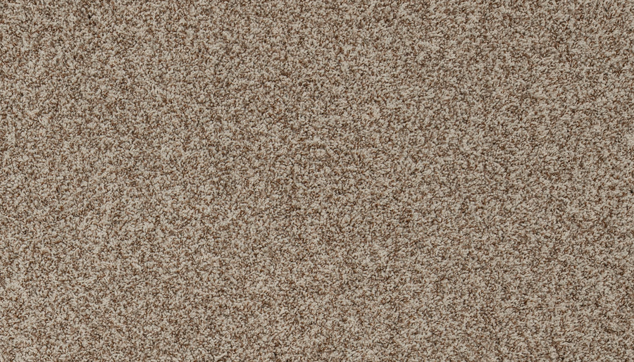 Close-up of the Aurelia Pet Friendly Carpet in beige, showcasing its luxurious, thick, and dense fibers. The plush texture and soft, varied tones fill the frame, highlighting this premium flooring option.