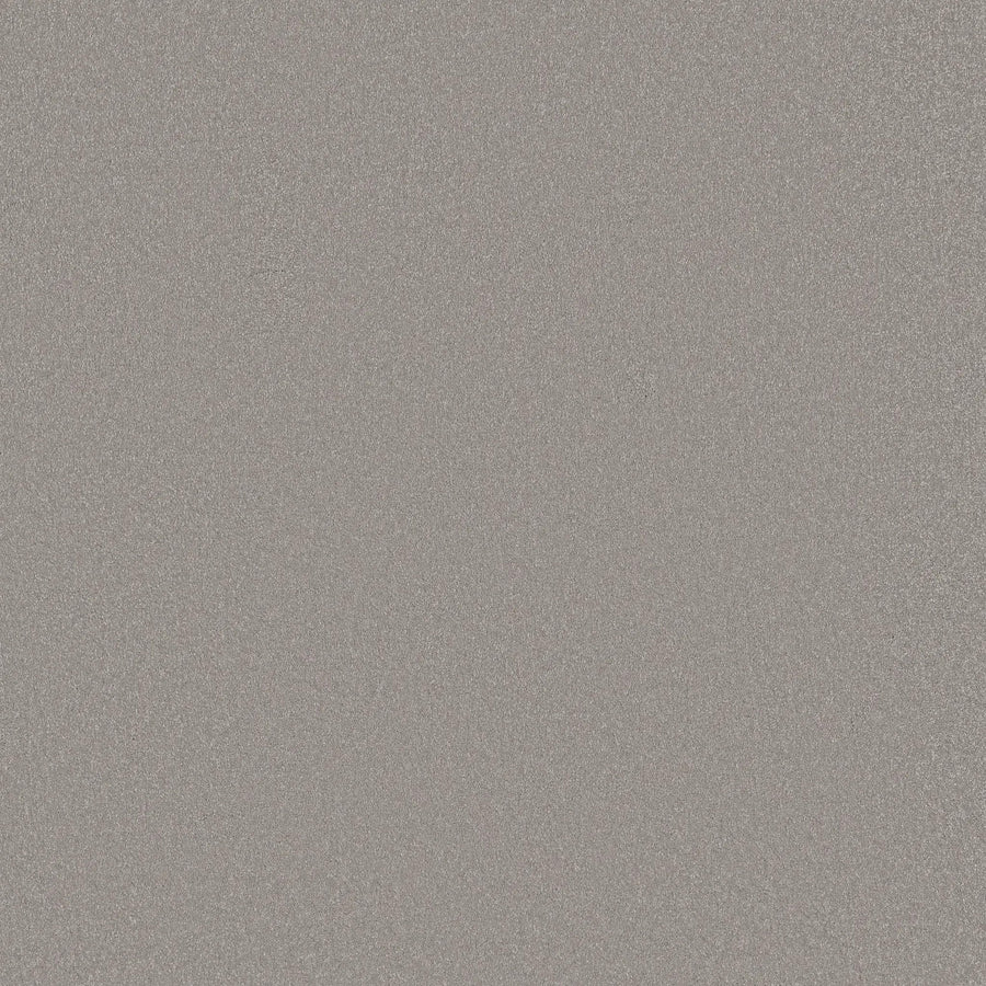 A close-up of Awaken Spirit Pet Friendly Carpet in Subtle, displaying a silver glittery texture with countless tiny sparkling particles for a shimmering, modern look ideal for any space.
