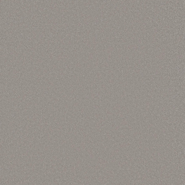 A close-up of Awaken Spirit Pet Friendly Carpet in Subtle, displaying a silver glittery texture with countless tiny sparkling particles for a shimmering, modern look ideal for any space.