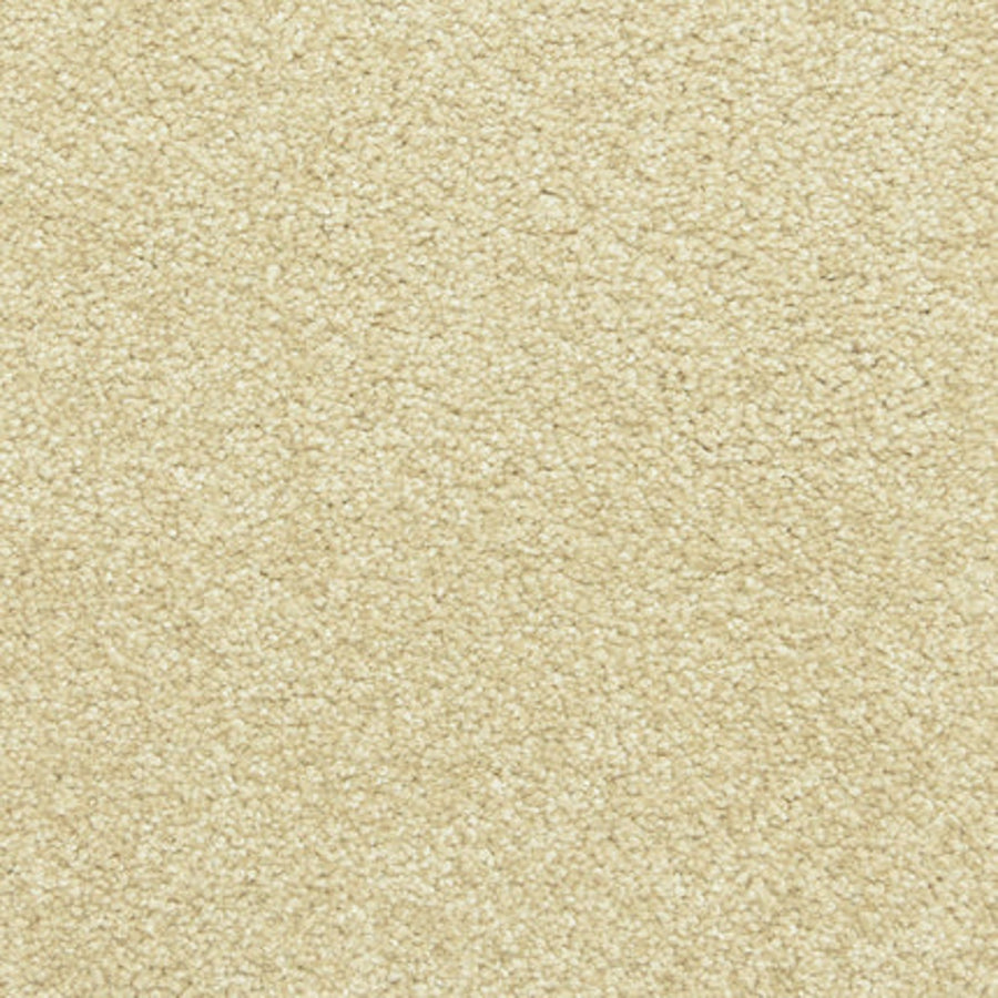 Close-up view of Maroon Bells Family Friendly Carpet in Suede, featuring a beige, textured surface with densely packed fibers for a soft and uniform appearance.