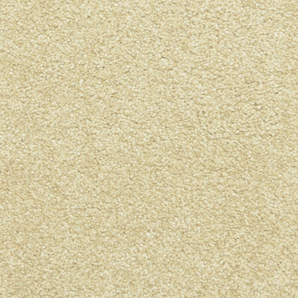Close-up view of Maroon Bells Family Friendly Carpet in Suede, featuring a beige, textured surface with densely packed fibers for a soft and uniform appearance.
