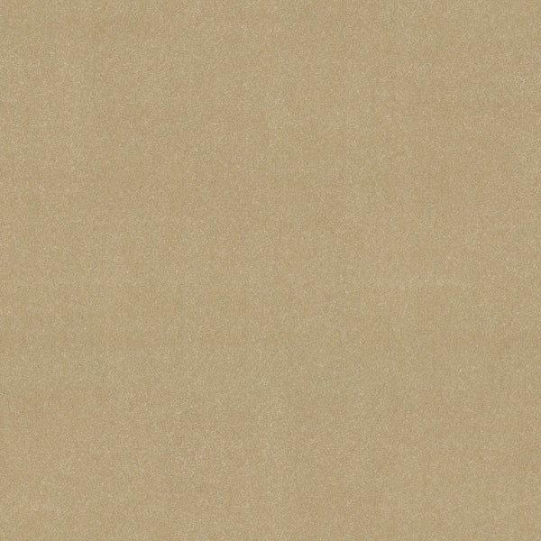 Close-up of the Awaken Spirit Pet Friendly Carpet in Sugar color, showcasing a smooth, even surface with fine texture for comfort and durability. The image displays no visible patterns, objects, or markings.