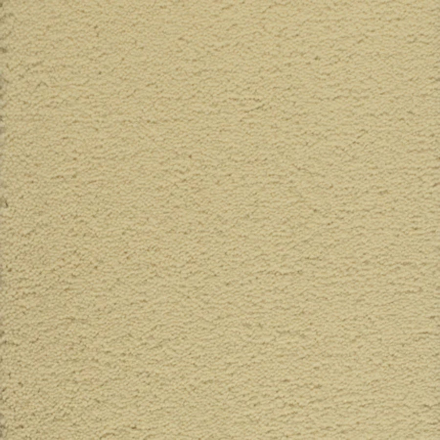 A close-up view of Dolce Family Friendly Carpet in Sugar Cane, showing its textured, light yellow surface—perfect for high-traffic areas that need both durability and style.