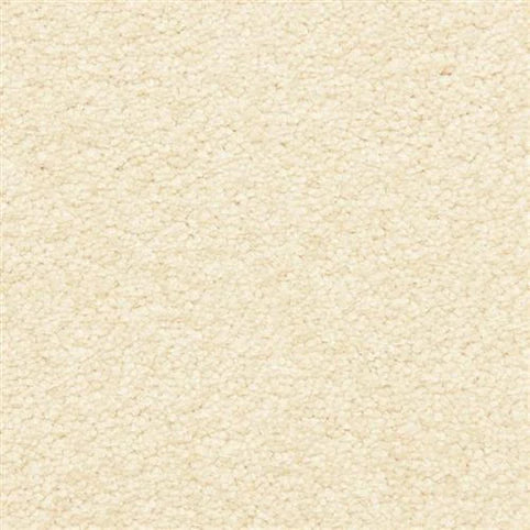 Close-up of Morgan Bay Family Friendly Carpet in Sugar Sand, highlighting its soft, textured surface and small, even loops of stain-resistant fabric for family-friendly durability.
