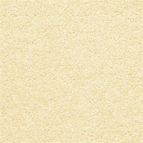 A close-up of Morgan Bay Family Friendly Carpet in Summer Straw shows its soft, textured, cream-colored surface with a subtly uneven look.
