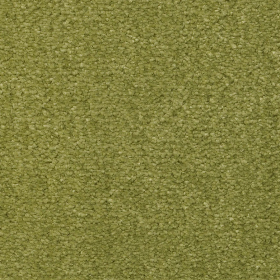 Close-up of Seduction On Trend Carpet in Summers End: a textured green luxury carpet with dense, even pile and small, tightly packed fibers for a soft, premium surface.
