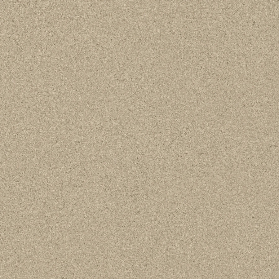 A close-up view of the Smooth Tone Blue Pet Friendly Carpet in Summertime, featuring a fine, even texture and smooth, light beige surface reminiscent of luxurious flooring.