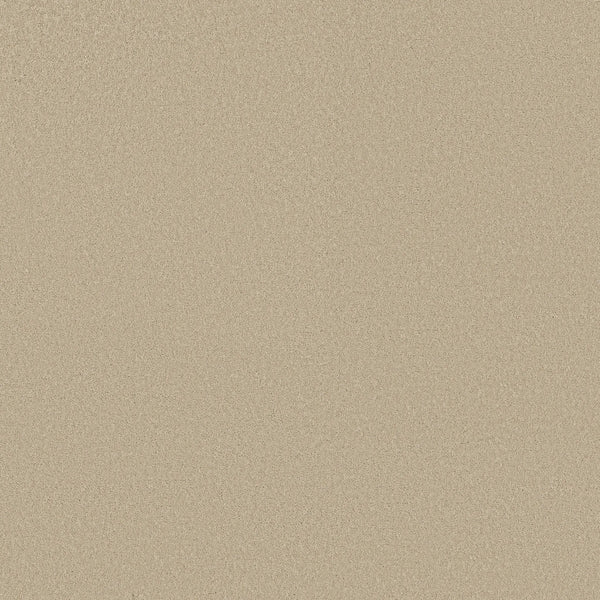 A close-up view of Smooth Tone Pet Friendly Carpet in the Summertime color, showcasing a smooth, even beige surface with no visible patterns or objects—ideal for durability and stain resistance.