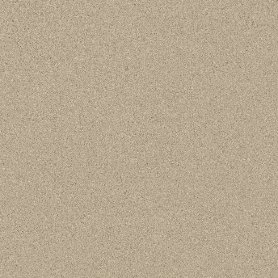 A close-up of the Classic Tone Pet Friendly Carpet in Summertime color shows a smooth, sandy beige, stain-resistant surface with no visible objects or features.