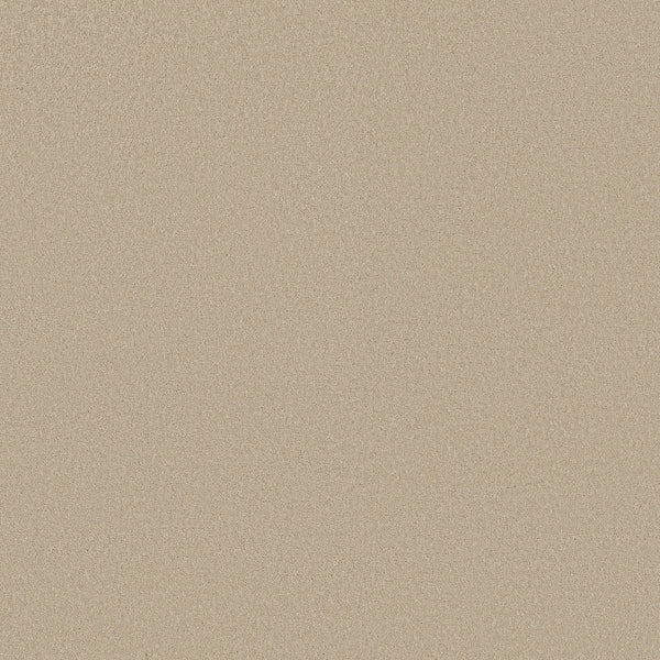 A close-up of the Classic Tone Pet Friendly Carpet in Summertime color shows a smooth, sandy beige, stain-resistant surface with no visible objects or features.