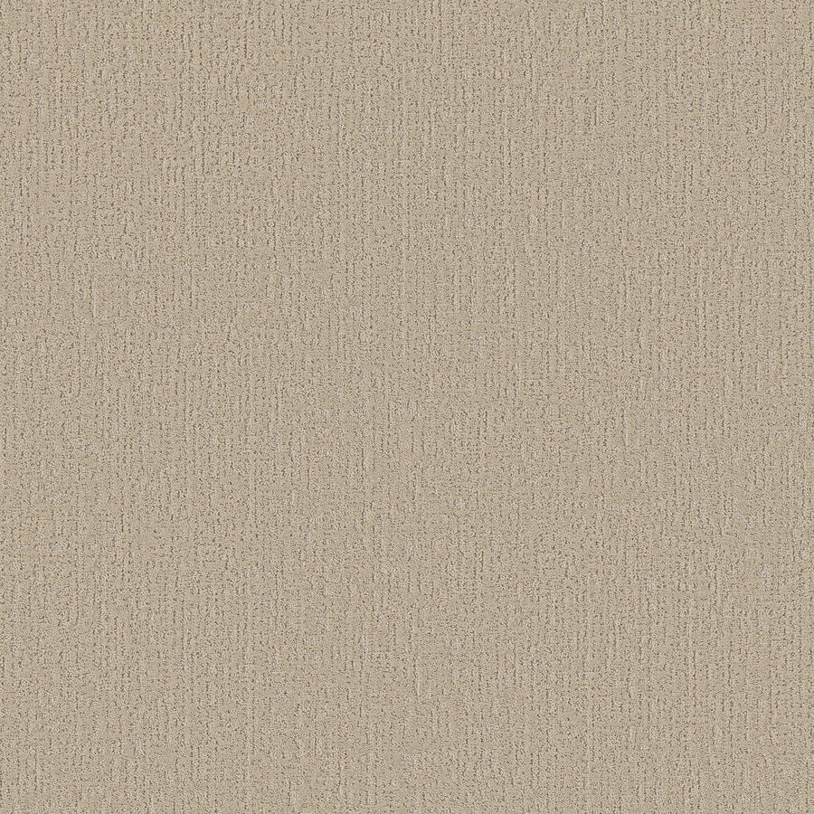 A close-up of the Curated Tone Blue Pet Friendly Carpet in Summertime, showing its beige textured surface with a subtle woven pattern that enhances its stain-resistant look.