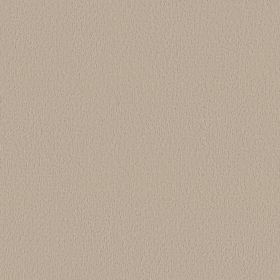 A close-up of Crafted Tone Blue Pet Friendly Carpet in Summertime shows its beige textured surface with a subtle, irregular fine grain pattern—ideal for a stylish, stain-resistant carpet that's perfect for homes with pets.