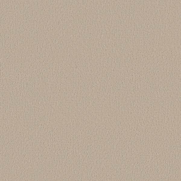 A close-up of Crafted Tone Blue Pet Friendly Carpet in Summertime shows its beige textured surface with a subtle, irregular fine grain pattern—ideal for a stylish, stain-resistant carpet that's perfect for homes with pets.