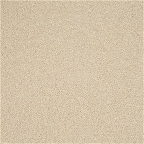 A close-up view of the Harbor Town Family Friendly Carpet in Sun Up shows its beige, textured, stain-resistant surface with a soft and uniform appearance.