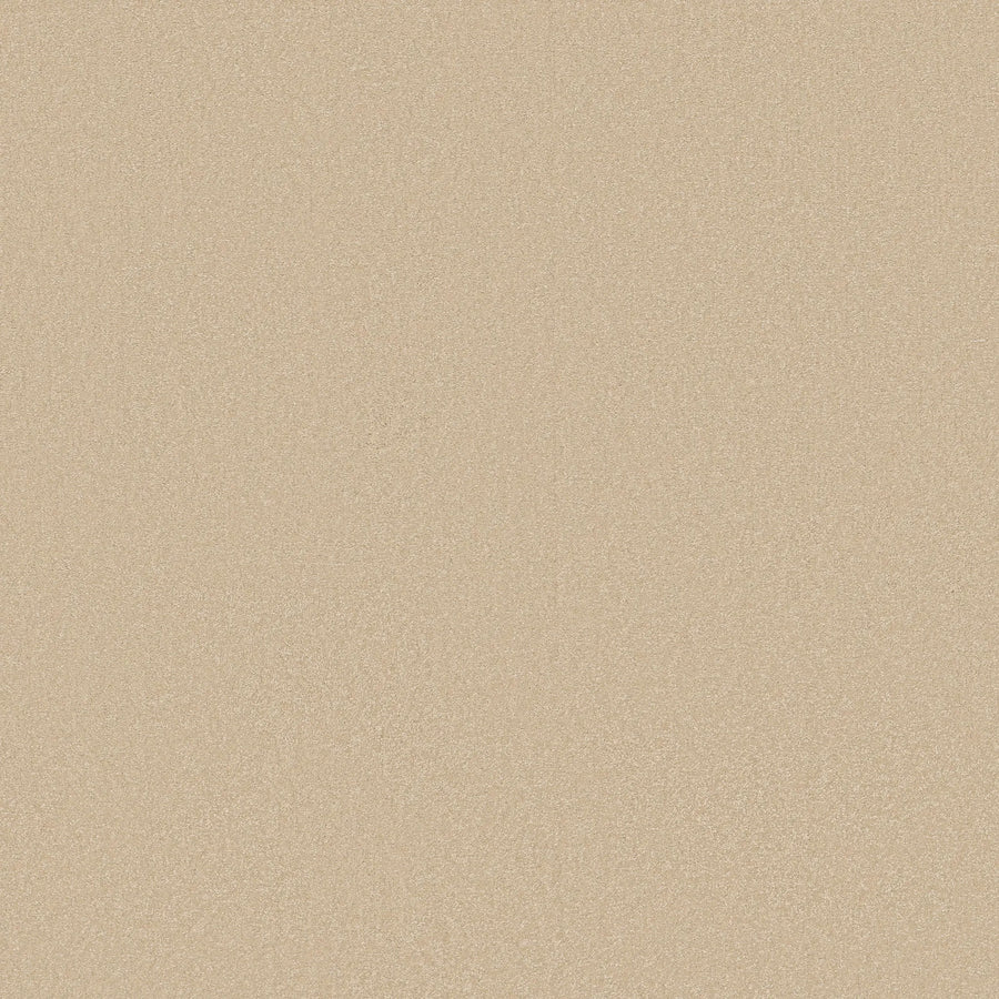 A close-up of Awaken Spirit Pet Friendly Carpet in Sunlight showcases a smooth, fine light beige surface with uniform texture, evoking contemporary style and comfort—no patterns or footprints, just an even, welcoming appearance.