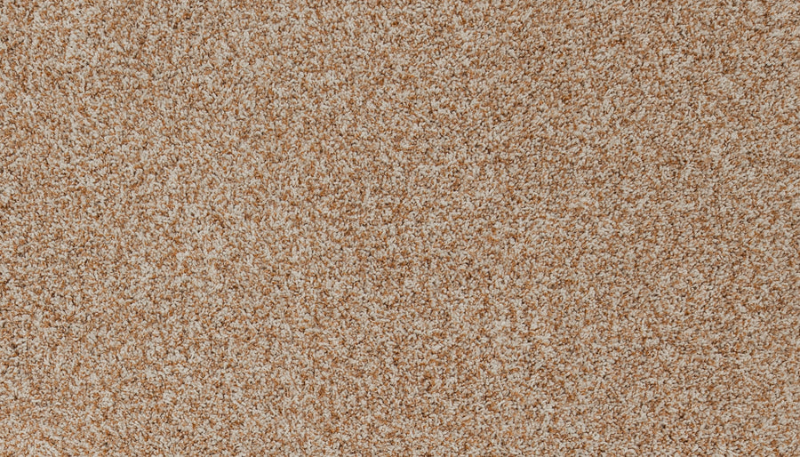 Close-up view of the Aurelia Pet Friendly Carpet, featuring a dense and soft beige and brown pile for a speckled, cozy look—ideal for those seeking premium, pet-friendly flooring.