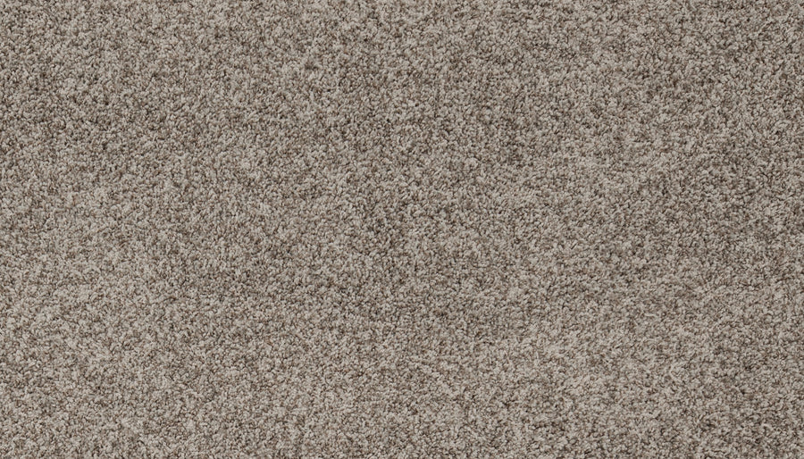 Close-up of Aurelia Pet Friendly Carpet in textured beige, featuring dense, soft, and slightly speckled fibers. Tightly packed for a plush surface, it’s ideal for premium pet-friendly flooring.
