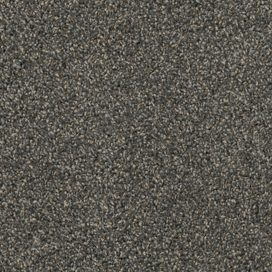 Close-up view of Sunlit Hues Pet Friendly Carpet shows tightly packed, looped fibers in textured dark gray, creating a uniform, slightly rough surface—an ideal choice for stylish high-end flooring.