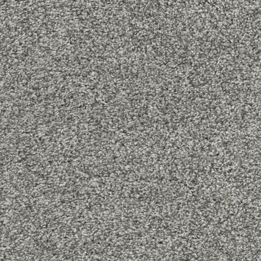 Close-up view of Sunlit Hues Pet Friendly Carpet, featuring a textured light gray surface with soft, plush, tightly packed fibers—perfect for luxurious, high-end flooring.