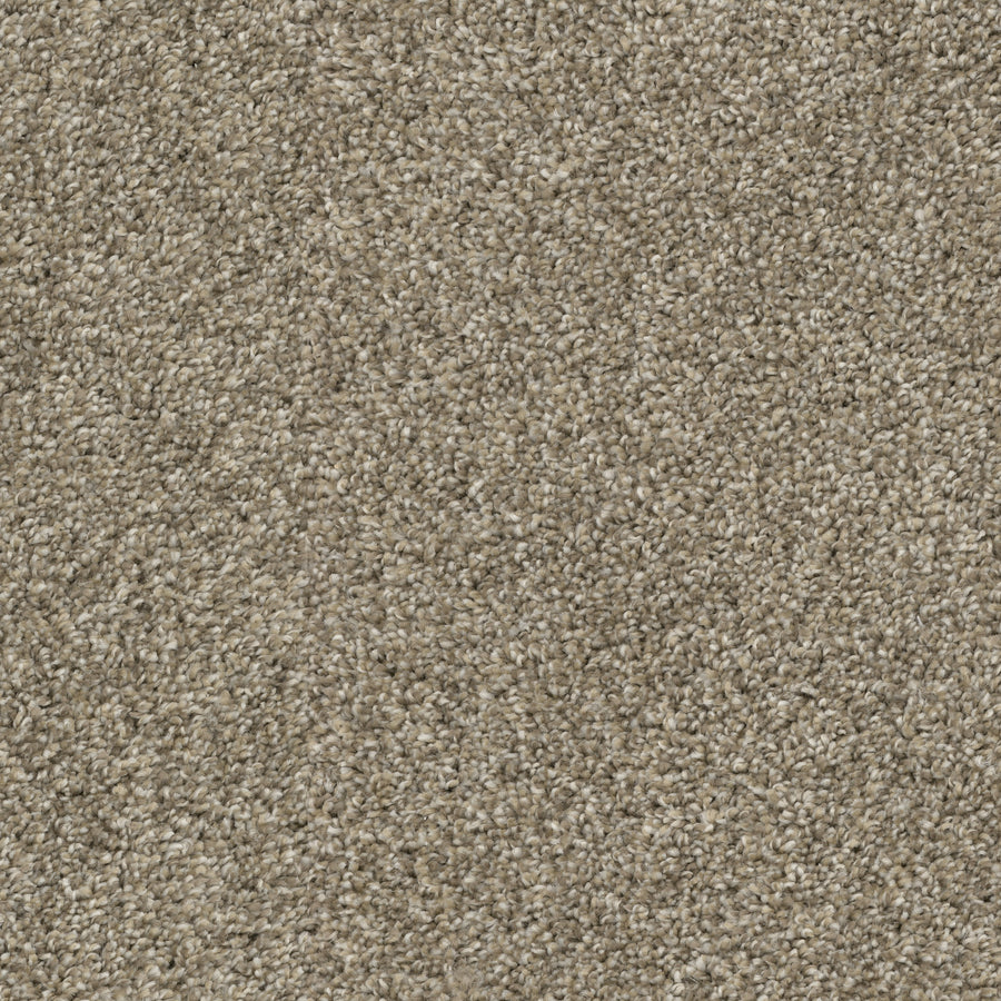 Close-up view of Sunlit Hues Pet Friendly Carpet shows beige, textured fibers that create a soft, slightly speckled surface—an ideal choice for comfort and durability in homes with pets.