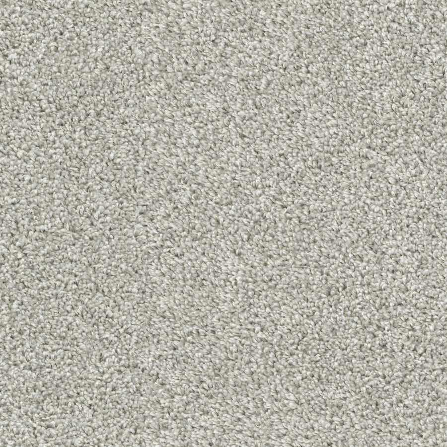 Close-up view of Sunlit Hues Pet Friendly Carpet in light gray, featuring a soft, even surface and tightly woven fibers—ideal for elegant, inviting high-end flooring with added durability for pets.