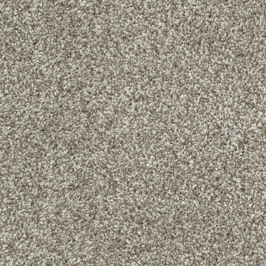 Close-up of Sunlit Hues Pet Friendly Carpet in beige, featuring tightly woven fibers and a textured, plush surface. Its neutral tone and dense weave offer a cozy, comfortable feel—perfect for high-end, pet-friendly flooring.