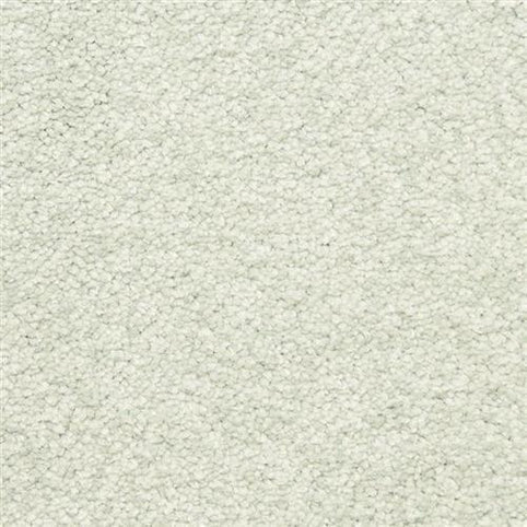 Close-up of the Morgan Bay Family Friendly Carpet in Sunroom—a light, textured, stain-resistant carpet. Its plush, neutral surface is soft yet durable, making it perfect for high-traffic, family-friendly spaces.