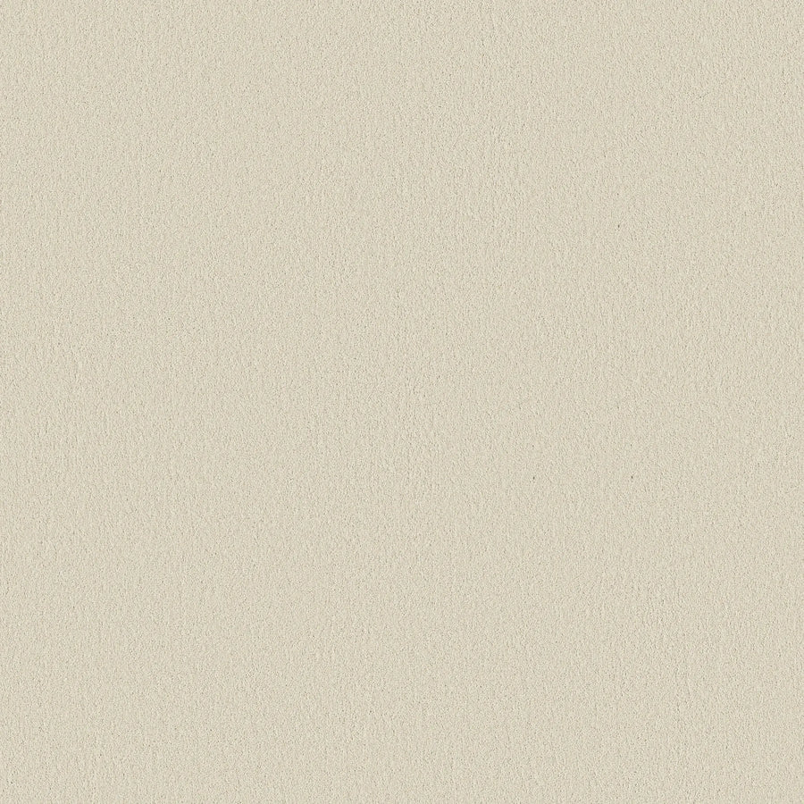 A close-up view of the Smooth Tone Blue Pet Friendly Carpet in Sweet Cream color, showing its light beige hue, subtle fine grain texture, and smooth finish.
