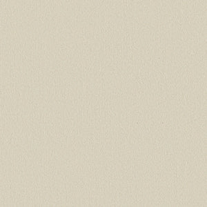 Smooth Tone Pet Friendly Carpet in Sweet Cream features a light beige, finely textured surface with an even grain pattern, offering both stain resistance and pet-friendly durability.