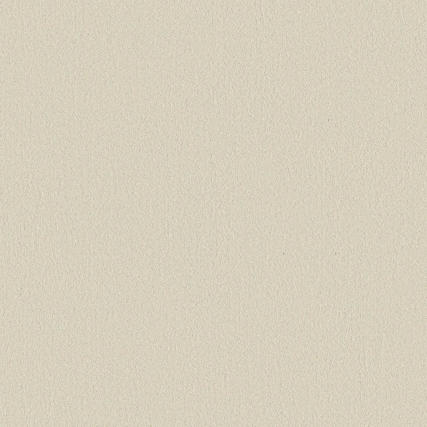 A close-up view of the Smooth Tone Blue Pet Friendly Carpet in Sweet Cream color, showing its light beige hue, subtle fine grain texture, and smooth finish.