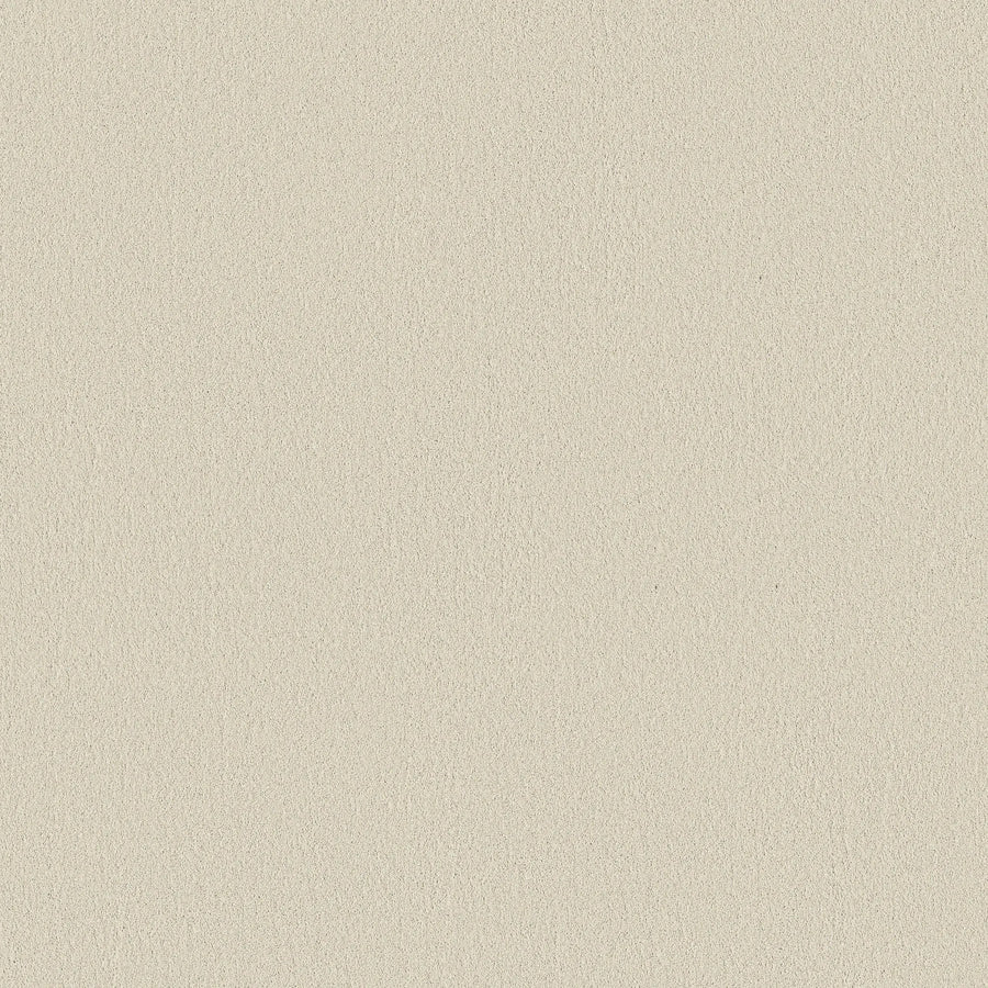 With a seamless, light Sweet Cream surface and subtle grainy texture, Classic Tone Blue Pet Friendly Carpet offers durability and a uniform look, perfect for busy homes.