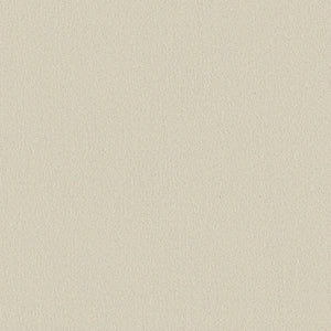A close-up of Classic Tone Pet Friendly Carpet in Sweet Cream shows its light beige, grainy texture, suggesting stain resistance and durability—ideal for long-lasting use.