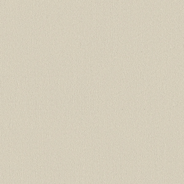 A close-up of Classic Tone Pet Friendly Carpet in Sweet Cream shows its light beige, grainy texture, suggesting stain resistance and durability—ideal for long-lasting use.