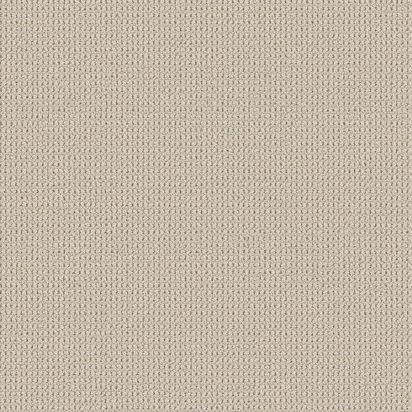 Close-up of Knitted Tone Pet Friendly Carpet in Sweet Cream, featuring a textured, woven pattern with small loops for a soft, uniform look. Crafted for durability and luxury in high-traffic areas, its clean surface suits any space.