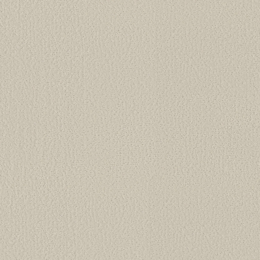 Crafted Tone Pet Friendly Carpet in Sweet Cream offers a seamless, light beige textured surface with a soft, uniform look that’s stylish, durable, and ideal for pets.