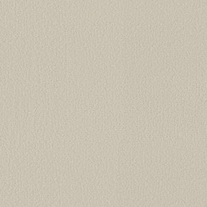 Crafted Tone Pet Friendly Carpet in Sweet Cream offers a seamless, light beige textured surface with a soft, uniform look that’s stylish, durable, and ideal for pets.