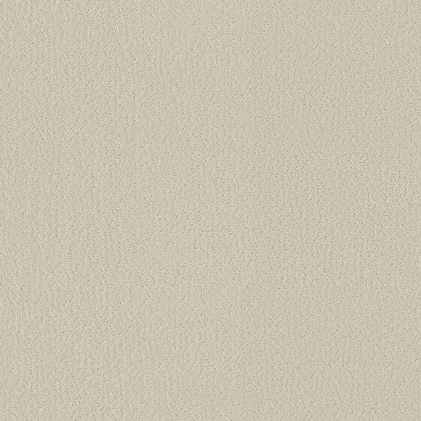 Crafted Tone Pet Friendly Carpet in Sweet Cream offers a seamless, light beige textured surface with a soft, uniform look that’s stylish, durable, and ideal for pets.