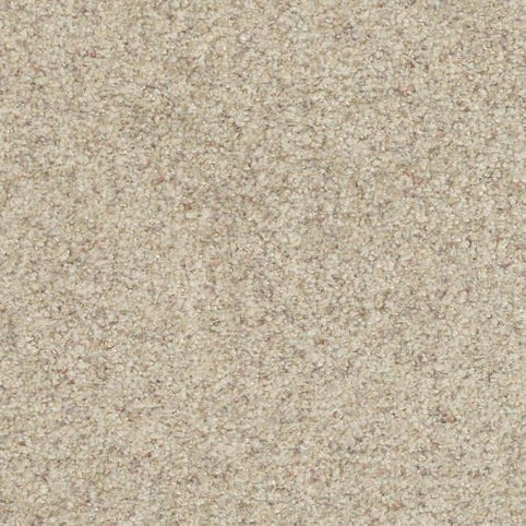 Close-up view of Boca Raton Family Friendly Carpet in True color, featuring a textured surface with fine, light beige grains for a durable, sand-like look—ideal for family-friendly flooring.