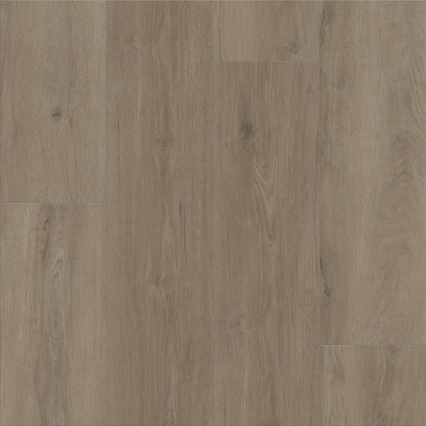 Classic Dwell features light brown flooring with a natural grain and subtle knots. Long planks are laid lengthwise for a seamless, rustic look—ideal for anyone desiring timeless, practical flooring solutions.