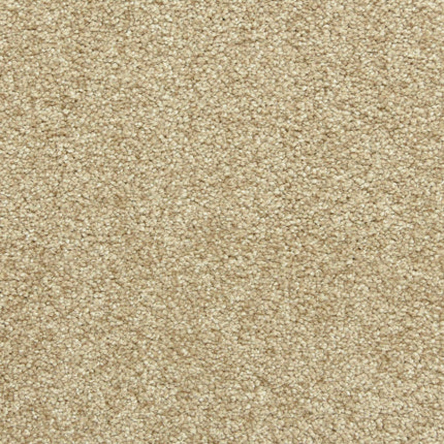 Close-up of the Maroon Bells Family Friendly Carpet in Taffy, showcasing its textured, slightly fuzzy surface—ideal for a comfortable and inviting space that's perfect for families.