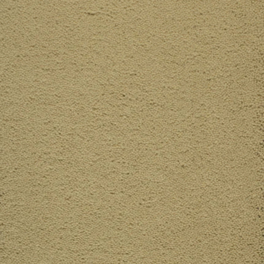 A close-up of a beige, textured stucco wall with a rough, sandy surface—ideal for high-traffic areas or pairing with Dolce Family Friendly Carpet in Tamarillo.