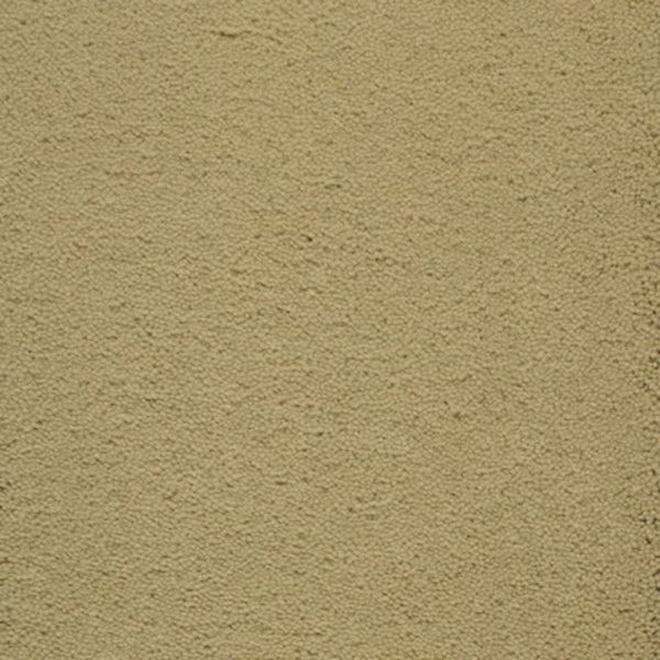 A close-up of a beige, textured stucco wall with a rough, sandy surface—ideal for high-traffic areas or pairing with Dolce Family Friendly Carpet in Tamarillo.