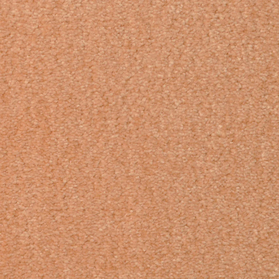 Close-up view of Seduction On Trend Carpet in Tango—a textured, luxury surface with a soft, uniform appearance, offering plush comfort and durable flooring for any space.