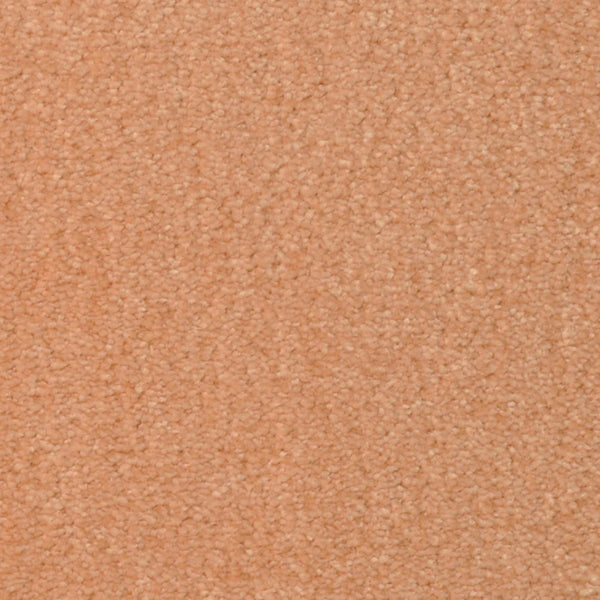 Close-up view of Seduction On Trend Carpet in Tango—a textured, luxury surface with a soft, uniform appearance, offering plush comfort and durable flooring for any space.