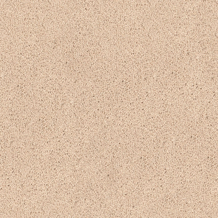 A close-up of Tribute Family Friendly Carpet in Tapestry color, featuring a beige textured surface with a uniform pattern of small, grainy dots.