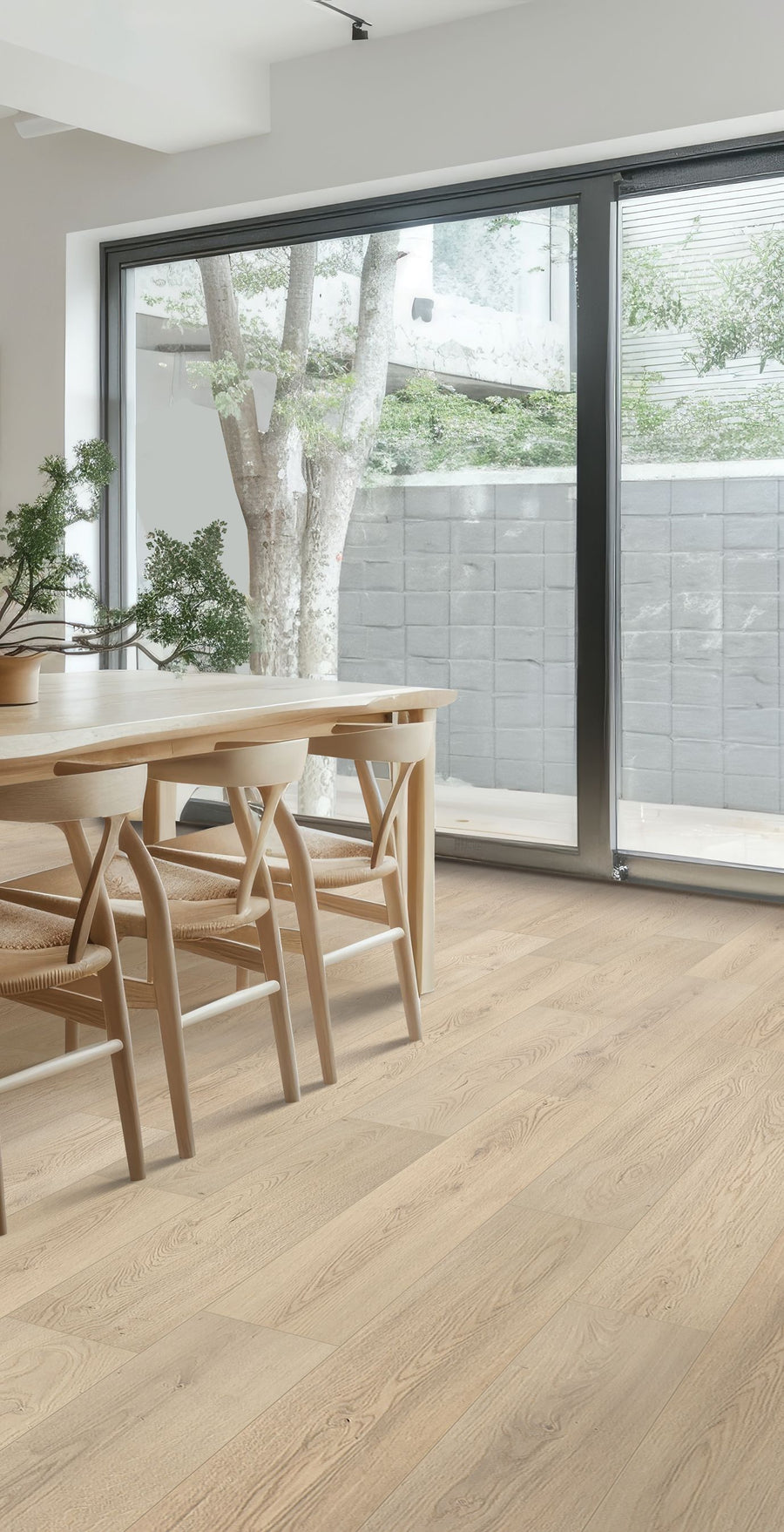 A minimalist dining area with light wooden chairs and table, potted plant centerpiece, large floor-to-ceiling windows, and an outdoor view of a tree and gray privacy wall.