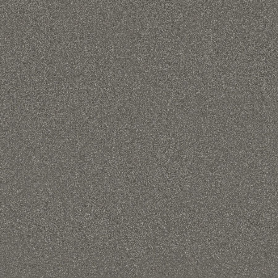 A close-up of Awaken Spirit Pet Friendly Carpet in Taupetone shows a gray, textured surface with fine, evenly distributed grains—giving it a speckled, gritty look that's perfect for adding durability to modern spaces.