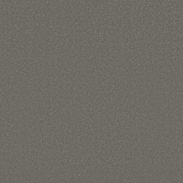 A close-up of Awaken Spirit Pet Friendly Carpet in Taupetone shows a gray, textured surface with fine, evenly distributed grains—giving it a speckled, gritty look that's perfect for adding durability to modern spaces.