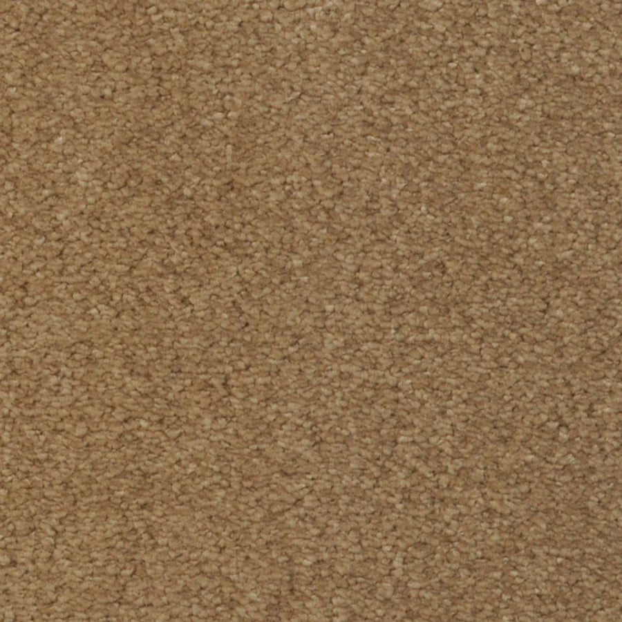 Close-up view of Seduction On Trend Carpet in Tea Chest color, featuring a brown, textured surface with tightly woven fibers for a soft, even finish.
